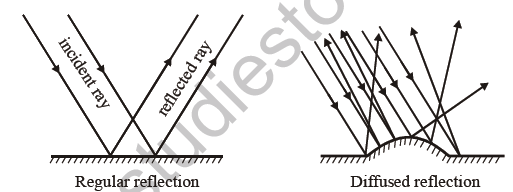 class_8_science_useful_013