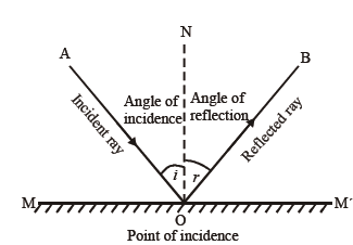 class_8_science_useful_014