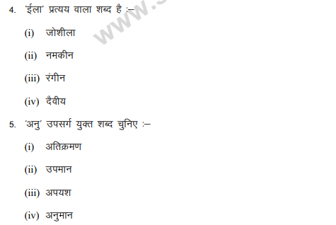 class_9_hindi_MCQs_5a