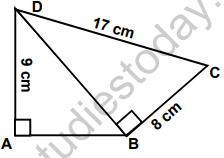 class_9_maths_MCQs_22a