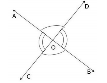 class_9_maths_concept_3a