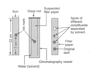 class_9_science_concept_0109