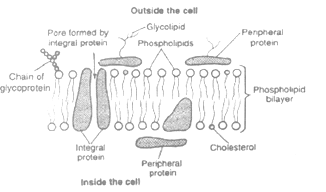 class_9_science_concept_010