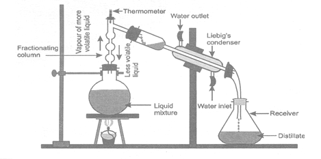 class_9_science_concept_0111