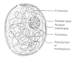 class_9_science_concept_011