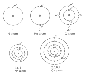 class_9_science_concept_0142