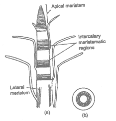 class_9_science_concept_015