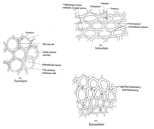 class_9_science_concept_016