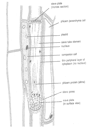 class_9_science_concept_018