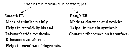 class_9_science_concept_01