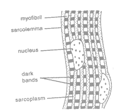 class_9_science_concept_021