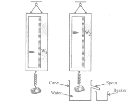 class_9_science_concept_0219