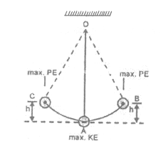 class_9_science_concept_0243