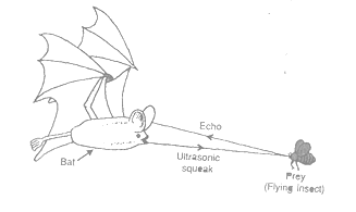 class_9_science_concept_0260