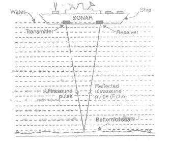 class_9_science_concept_0261