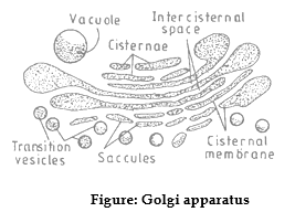 class_9_science_concept_02