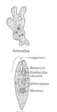 class_9_science_concept_034