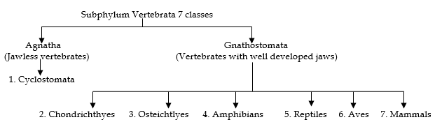 class_9_science_concept_050