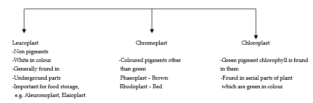 class_9_science_concept_05