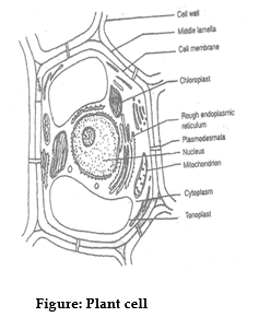 class_9_science_concept_06