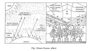 class_9_science_concept_072