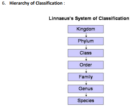 class_9_science_concept_14a