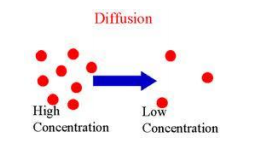 class_9_science_concept_3