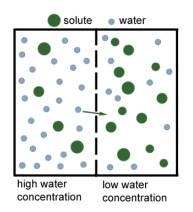 class_9_science_concept_5