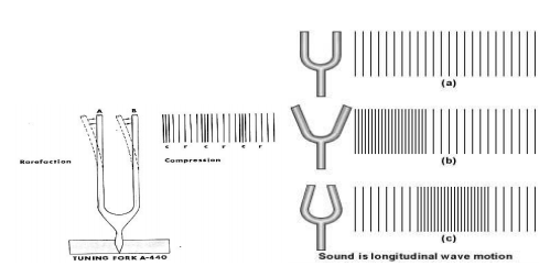 class_9_science_concept_6