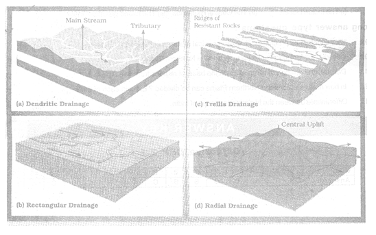 class_9_social_concept_010