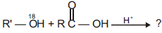 NEET Chemistry Alcohols Phenols and Ethers Online Test Set B-Q31