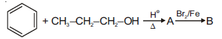 NEET Chemistry Alcohols Phenols and Ethers Online Test Set B-SB-Q2