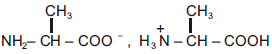 NEET Chemistry Amines Online Test Set B-SB-Q3-1