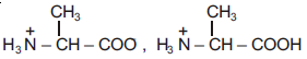 NEET Chemistry Amines Online Test Set B-SB-Q3-2