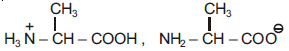 NEET Chemistry Amines Online Test Set B-SB-Q3-3