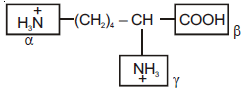 NEET Chemistry Biomolecules Online Test Set B-Q5