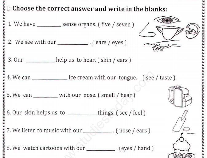 cbse class 1 evs how our body parts help assignment