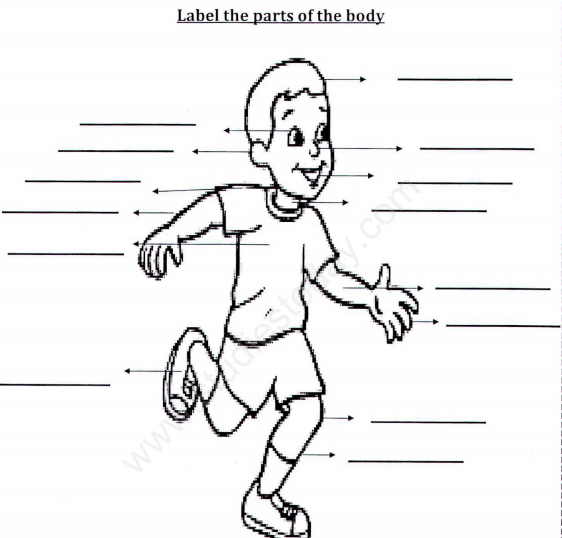 CBSE Class 1 EVS My Body Assignment