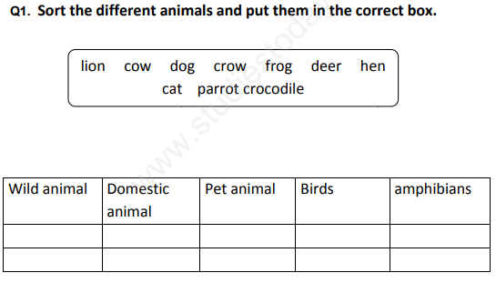 CBSE Class 1 EVS Revision Assignment Set C