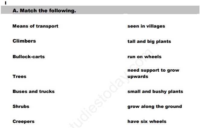 CBSE Class 1 EVS Revision Assignment Set K