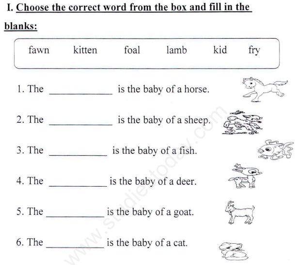 CBSE Class 1 English Vocabulary Assignment Set B