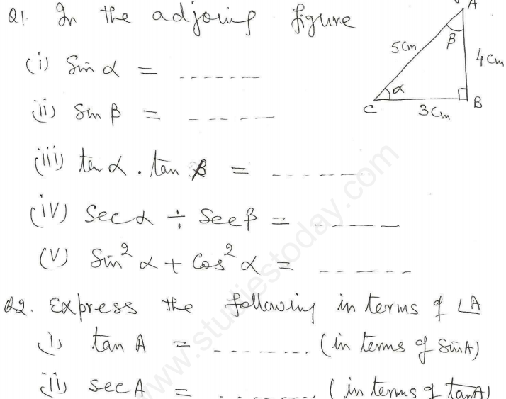 Trigonometric identities class 10 worksheet with answers picture