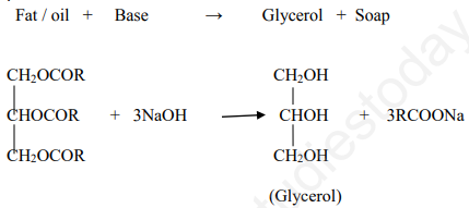 CBSE Class 10 Science Chemistry Saponification Preparation of Soap Assignment