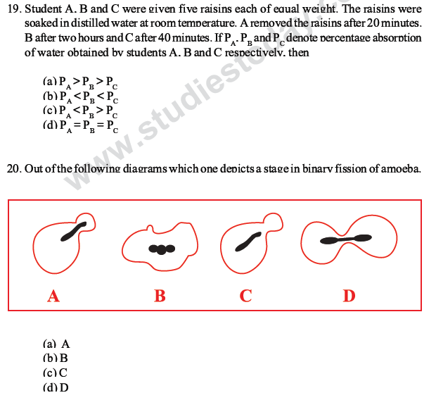 CBSE Class 10 Science MCQs Set 1-13