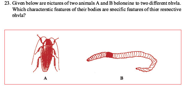 CBSE Class 10 Science MCQs Set 1-16