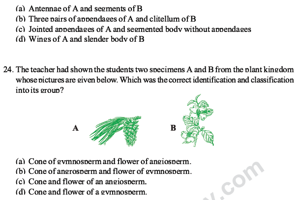 CBSE Class 10 Science MCQs Set 1-17