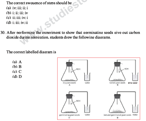 CBSE Class 10 Science MCQs Set 1-23