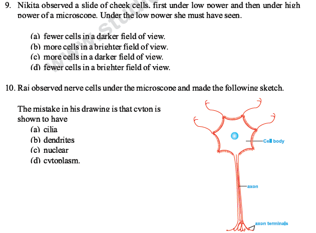 CBSE Class 10 Science MCQs Set 1-5