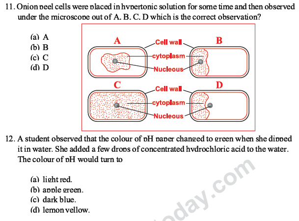 CBSE Class 10 Science MCQs Set 1-6