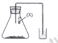 CBSE Class 10 Science MCQs Set 11-3